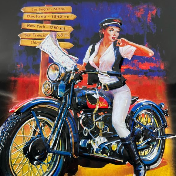 HARLEY DAVIDSON Motorcycles Woman Crossroads Metal Sign 2009 - Picture 8 of 8